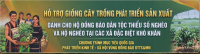 Triển khai thực hiện hỗ trợ giống cây trồng đối với hộ đồng bào dân tộc thiểu số nghèo, hộ nghèo tại khu vực kinh tế - xã hội đặc biệt khó khăn
