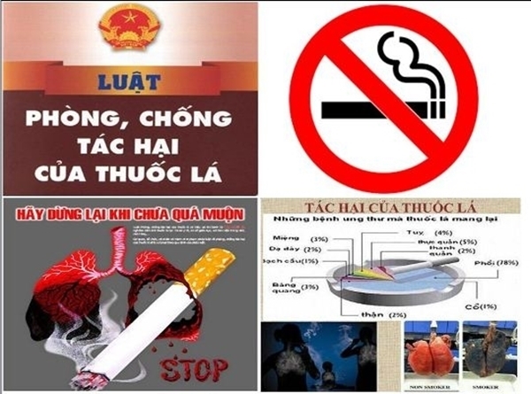 Ảnh minh họa (Nguồn Internet)